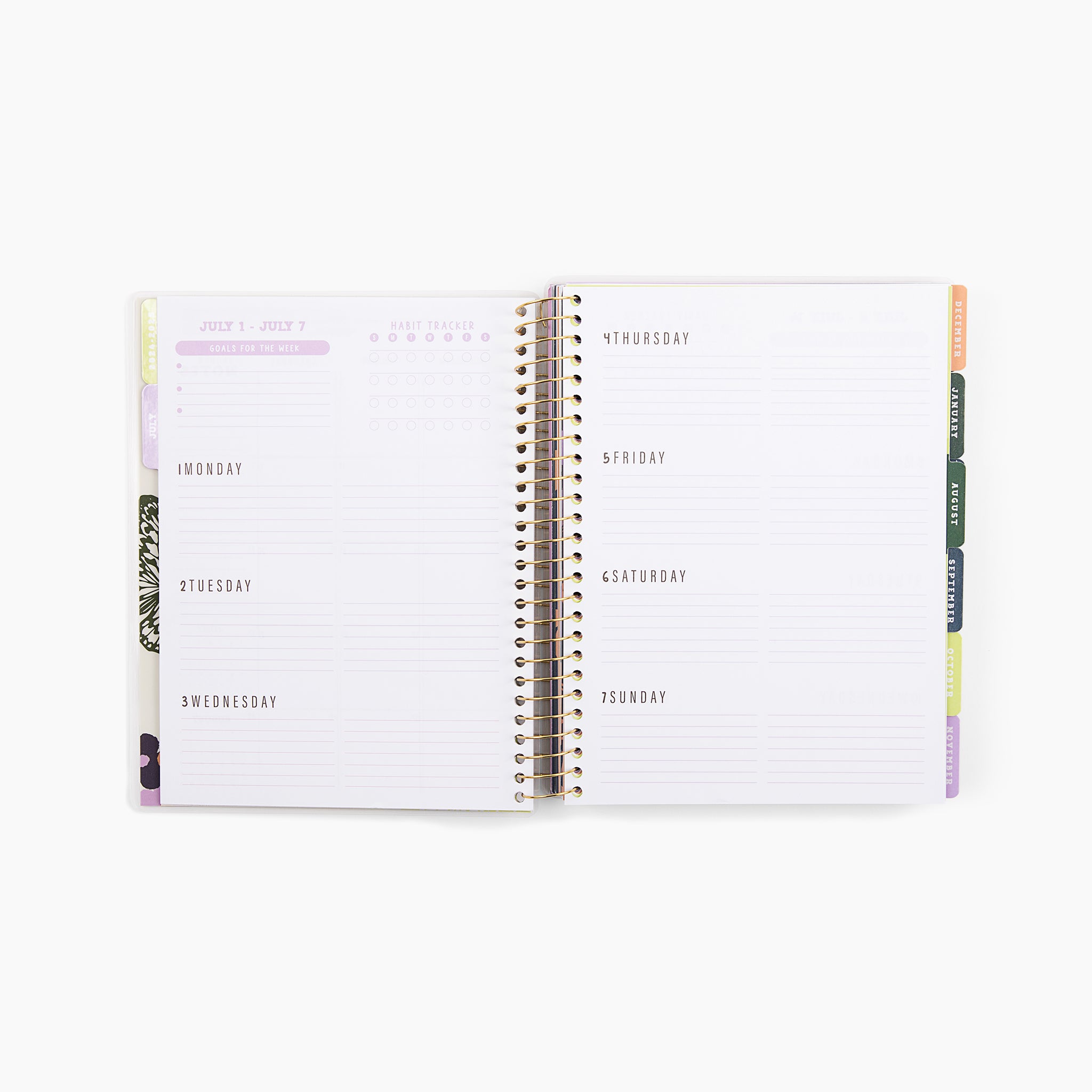 2025 New Creation 18-Month Planner